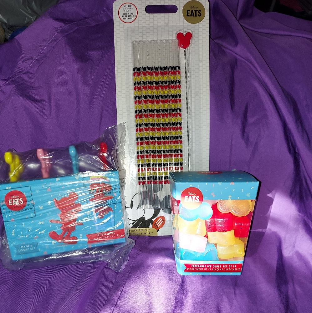 Disney summer set